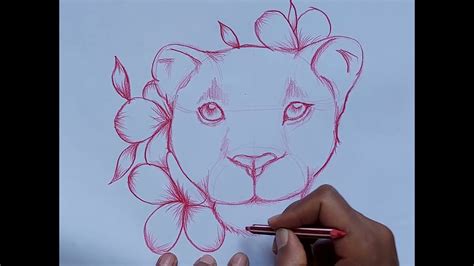 How To Draw A Lioness Head