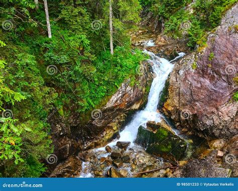 Cascade Falls Over Mossy Rocks Stock Image Image Of River Moss 98501233