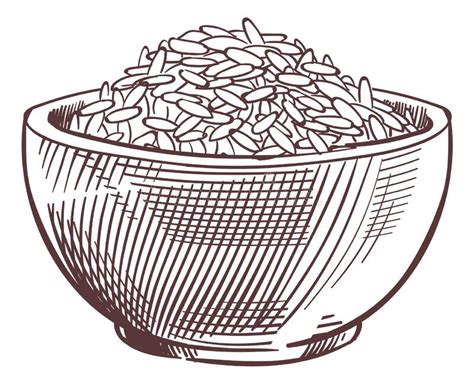 Rice Bowl Engraving Grain Full Dish Sketch Stock Vector Illustration
