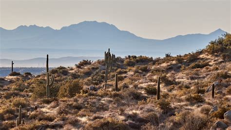 Download Wallpaper 1920x1080 Mountains Rocks Cacti Landscape Nature