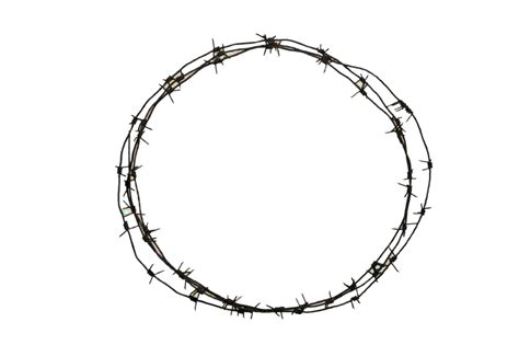 Free Barbwire PNG Transparent Images, Download Free Barbwire PNG png image