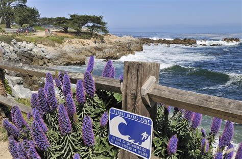 Excursion à Monterey Et Carmel Ceetiz