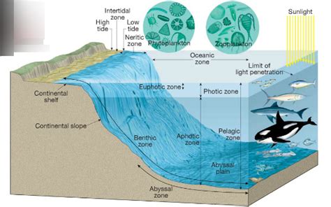 Marine Ecosystem Zones