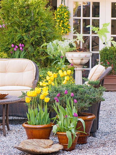 Plant Containers Of Bulbs For Instant Spring