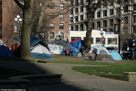 Seattle Homeless Camp Photos Show Inside The Camp A Week After Hotel Turn Shelter Opened