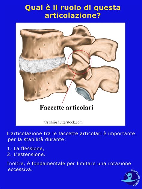 Sindrome Delle Faccette Articolari Lombari E Dorsali Sintomi Esercizi E Cura