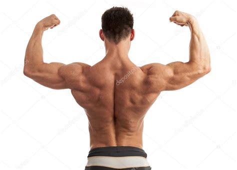 Within this group of back muscles you will find the latissimus dorsi, the trapezius, levator scapulae and the rhomboids. Rear view of a young man flexing his arm and back muscles over white background — Stock Photo ...