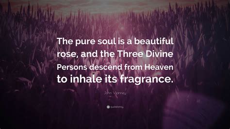 John Vianney Quote The Pure Soul Is A Beautiful Rose And The Three