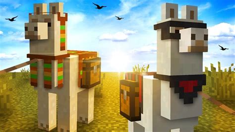 What Do Llamas Eat In Minecraft To Tame And Breed