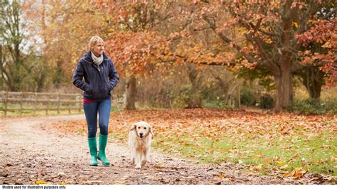 Metastatic breast cancer (also called stage iv) is breast cancer that has spread to another part of the body, most commonly the liver, brain, bones, or lungs. BrandpointContent - 5 Must-Share Facts About Metastatic ...