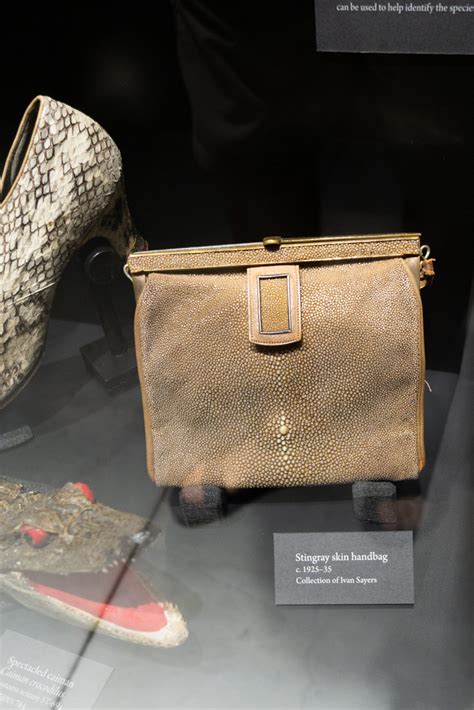 Stingray Skin Handbag Beaty Biodiversity Museum Vancouver Flickr