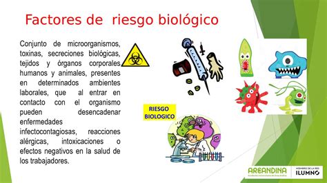 Factores De Riesgos Biologicos Images And Photos Finder