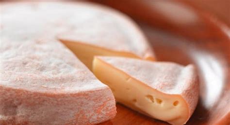 14 Sick From Salmonella In Raw Milk Cheese In France Barfblog