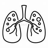 Lungs Measles Tuberculosis sketch template