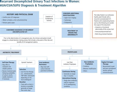Recurrent Uncomplicated Urinary Tract Infections In Women Aua Cua Sufu Guideline Journal Of