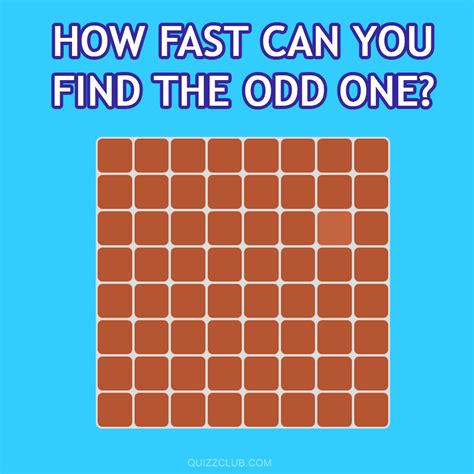 Illusion Pictures Puzzle Questions