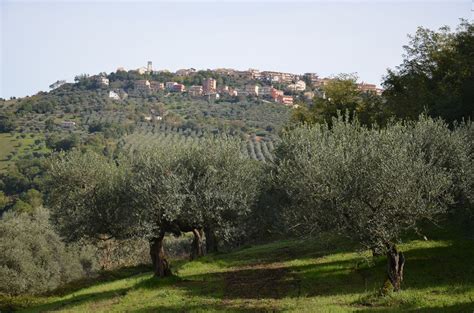 Banca del sud si trova a s.,, via salvatore pescatori, 101, 83100 avellino av, italy, si prega di contattare banca del sud utilizzando le informazioni di seguito: Olio Colato, Flumeri (Avellino) capitale della cultura ...