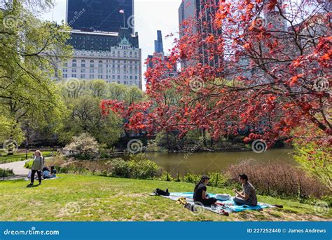 Beautiful Central Park Spring Scene Near The Pond In New York City