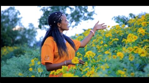 Jiituu Daanyee Karramarraa Habaabilee New Ethiopian Afaan Oromo Music Official Video 2021