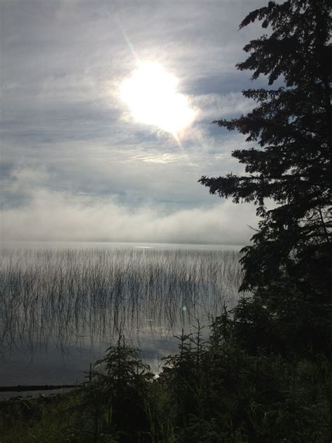 Gro outdoor living specializes in landscape design, construction, and maintenance for clients in the greater portland area. Misty morning at Waters Edge Eco Lodge, SK, Canada ...