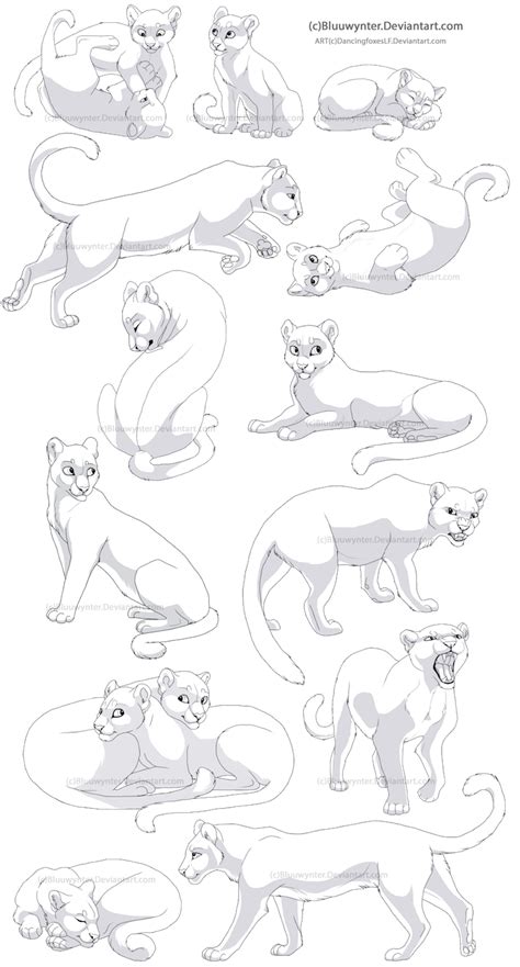 Warrior Cats Comics Warrior Cat Oc Warrior Cats Fan Art Lion King