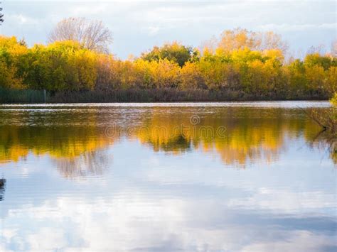A Small Lake In The Park The Yellowing Trees Along The Shore The