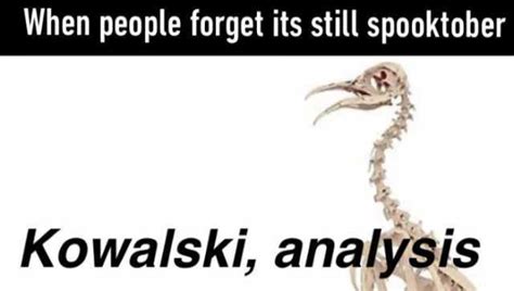 when people forget its still spooktober kowalski analysis