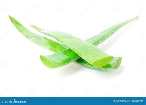 Fresh Green Aloe Vera Leaves Isolated On White Background Stock Photo