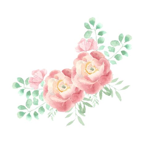 Vintage Pink Peony Watercolor Flower Arrangement Free Png And Psd