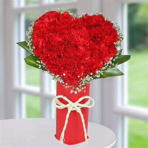 Buysend Red Carnation Heart Arrangement Online Ferns N Petals