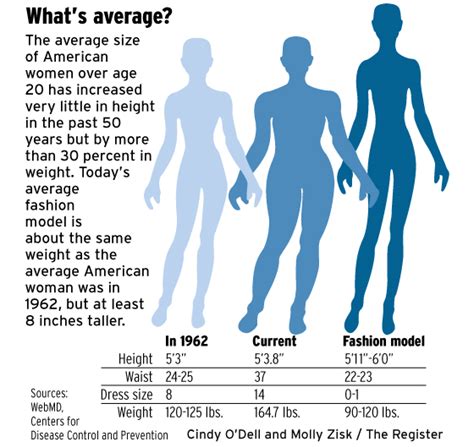 Average Womens Size In 2012 Youareyoungdarling