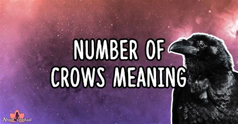 Number Of Crows Meaning 7 Spiritual Interpretations That Will Change