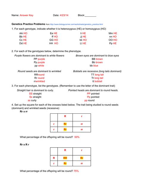 Introduction To Genetics Worksheet Key