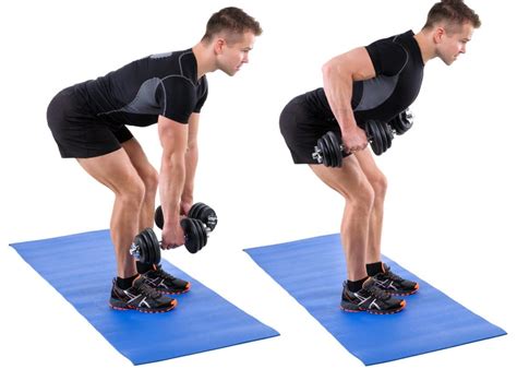 The Best Dumbbell Back Exercises Workout Healthtasy Com