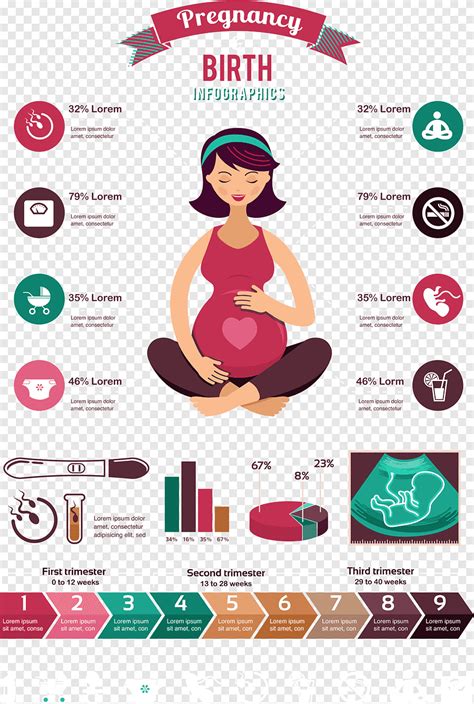 Pregnancy And Birth Infographics Pregnancy Infographic Computer File