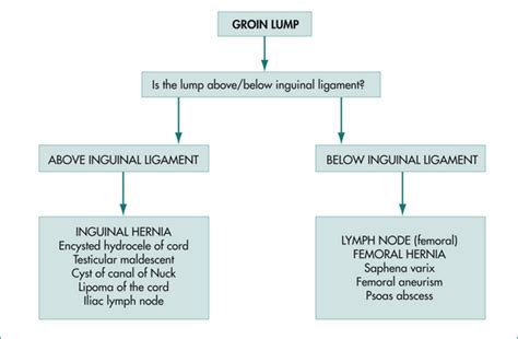 Lumps In The Groin And Hernia Abdominal Key