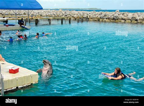 Swimming With The Dolphins At Blue Lagoon Island Near Nassau Bahamas