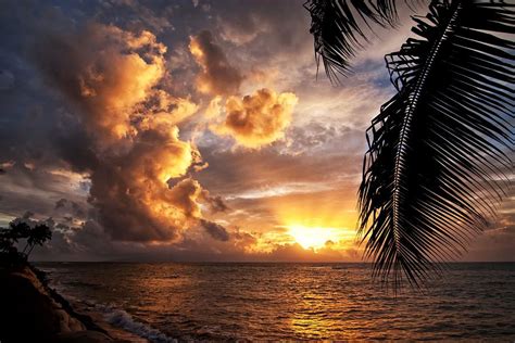 Tropical Maui Sunset Photograph By Brent Schlea
