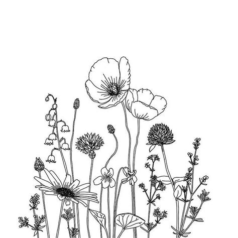 Pin By Lynn Craig On Crafts In 2020 With Images Wildflower Drawing