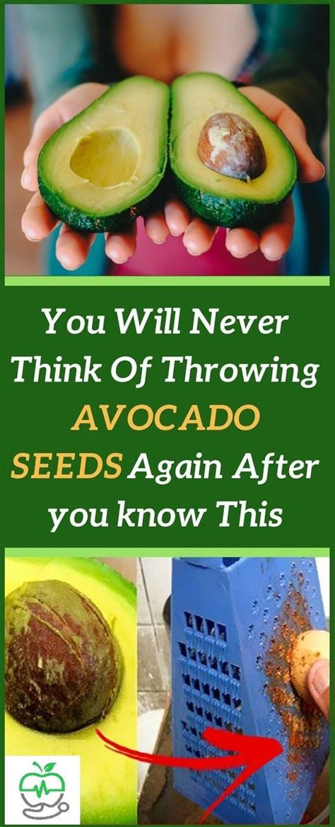 you will never think of throwing avocado seeds again after you know this dennis remedy