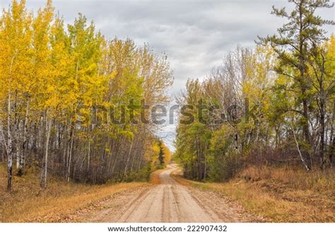 Long Dirt Road Lined By Autumn Stockfoto 222907432 Shutterstock