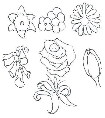 Collection of flowers drawing pages (42) different types of flowers to color all drawing of flower and pot Flowers Drawings