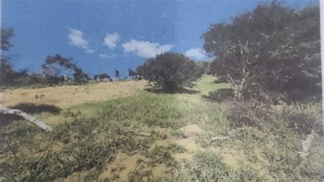 land part of ballynure ca mile gully manchester parish land for sale