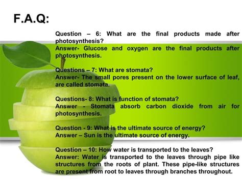 Nutrition In Plants Class Vii Ncert Based Ppt