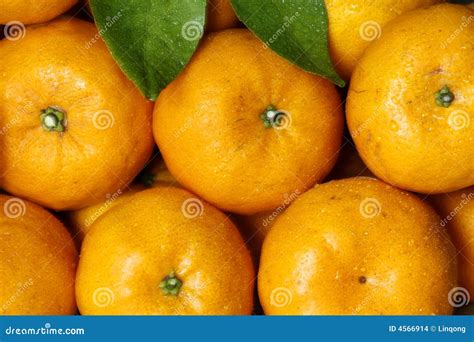 Candy Tangerine Of China Stock Photo Image Of Orange 4566914