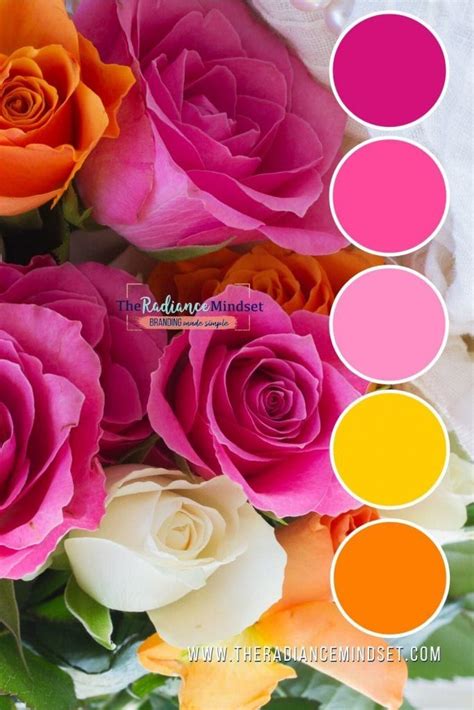 Pink In Marketing Using Color In Branding The Radiance Mindset In Color Palette Pink
