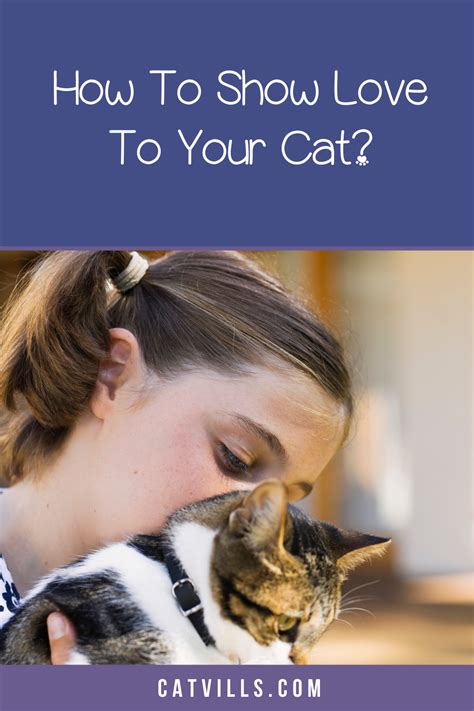 9 Ways To Show Your Cat You Love Them How To Show Love Cats Cute