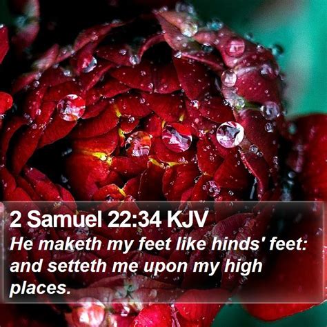 2 Samuel 2234 Kjv He Maketh My Feet Like Hinds Feet And Setteth