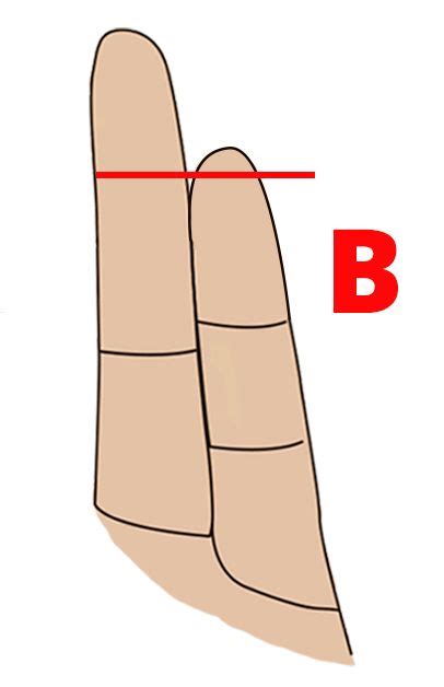 The Secret To Your Personality Is The Length Of This Finger Mine Was Spot On Https