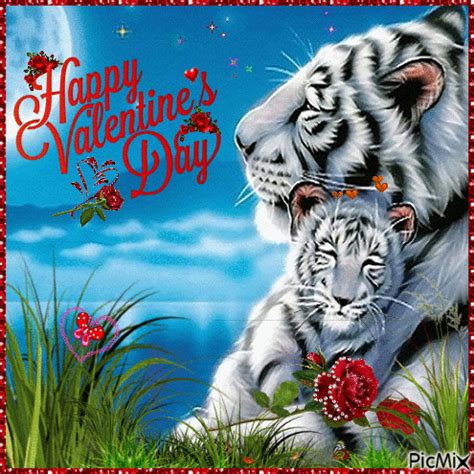 White Tiger Happy Valentine S Day Pictures Photos And Images For